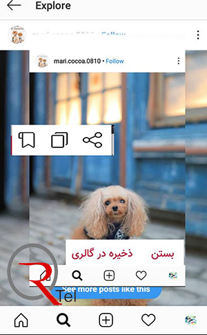 نحوه دانلود عکس و فیلم از اینستاگرام در گوشی اندروید